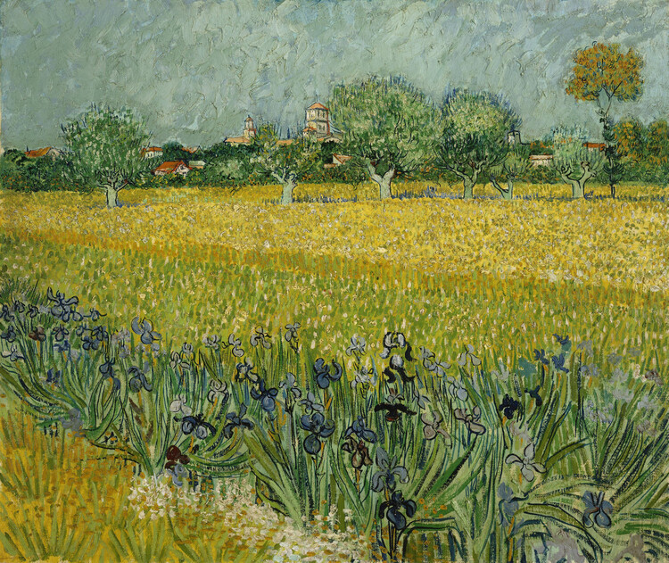 Vincent van Gogh Obrazová reprodukce Field with Flowers near Arles, 1888, Vincent van Gogh, 40 × 35 cm