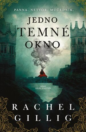 Jedno temné okno - Rachel Gilling