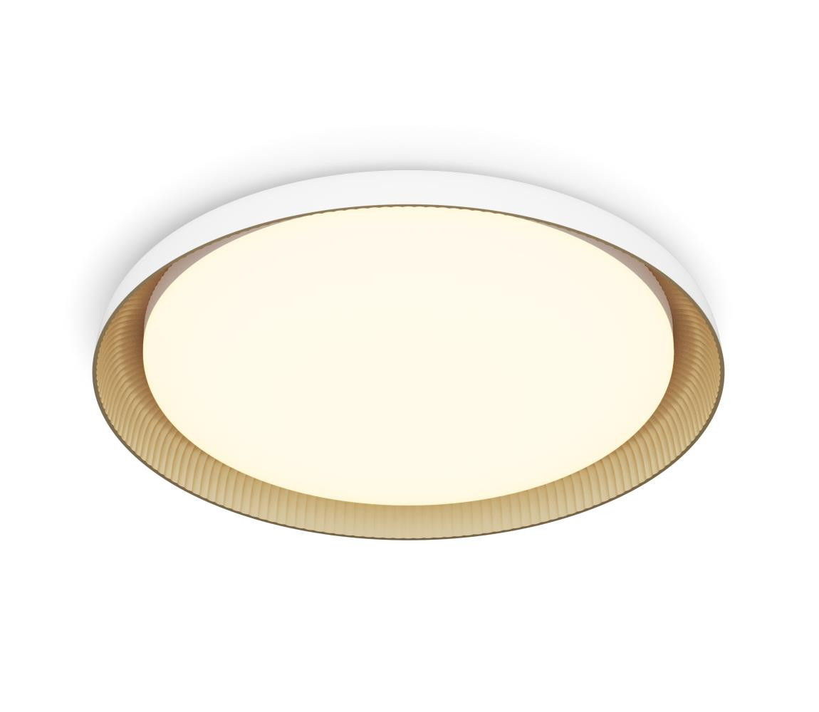 Philips Philips - LED Stmívatelné stropní svítidlo PEBBLO LED/10W/230V 2700K bílá