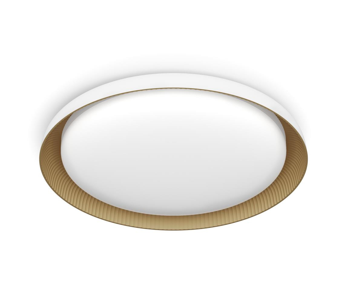 Philips Philips - LED Stmívatelné stropní svítidlo PEBBLO LED/10W/230V 4000K bílá