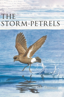 Storm-Petrels (Thomas Rob)(Paperback)