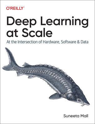Deep Learning at Scale: At the Intersection of Hardware, Software, and Data (Mall Suneeta)(Paperback)