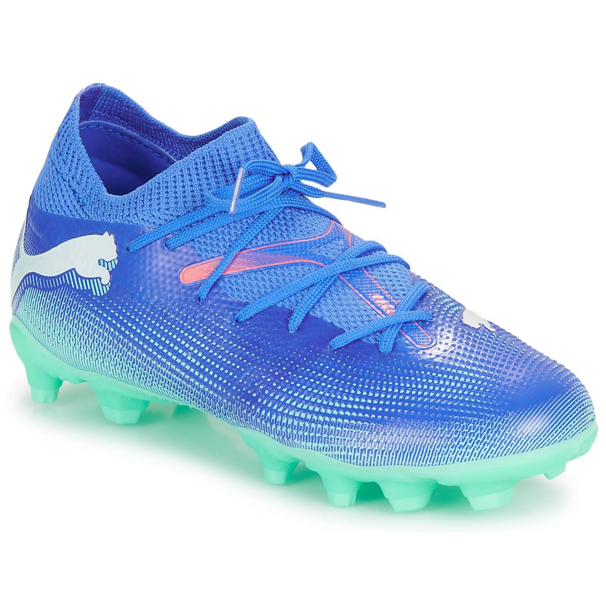 Puma  FUTURE 7 MATCH FG/AG Jr  Modrá