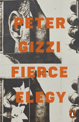 Fierce Elegy (Gizzi Peter)(Paperback / softback)