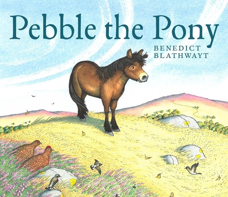 Pebble the Pony (Blathwayt Benedict)(Paperback)