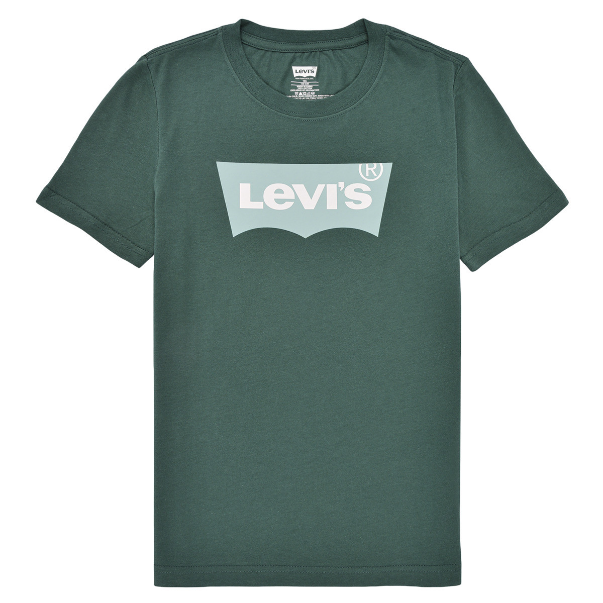 Levis  LVB BATWING TEE  Zelená