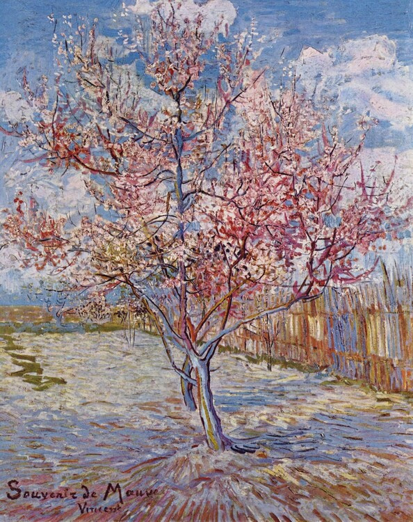 Vincent van Gogh Obrazová reprodukce Souvenir de Mauve (1888), Vincent van Gogh, 30 × 40 cm