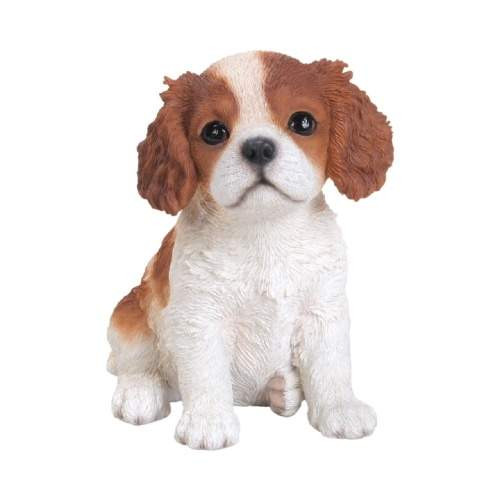 Štěně King Charles sedící polyresinový bílo-hnědý 16cm