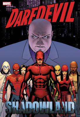 Daredevil: Shadowland Omnibus Cassaday Cover [New Printing] (Diggle Andy)(Pevná vazba)