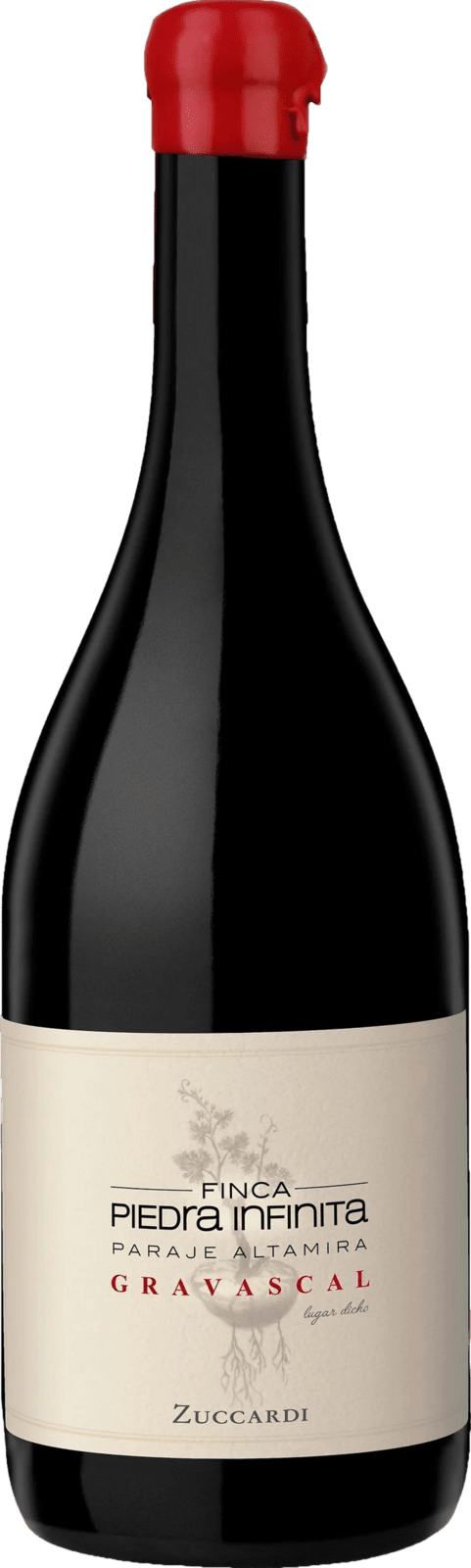 Zuccardi Finca Piedra Infinita Gravascal 2019