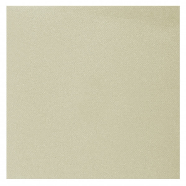 Ubrousky Rainbow Ivory 40 x 40 cm 20 ks