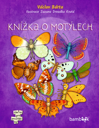 Knížka o motýlech - e-kniha