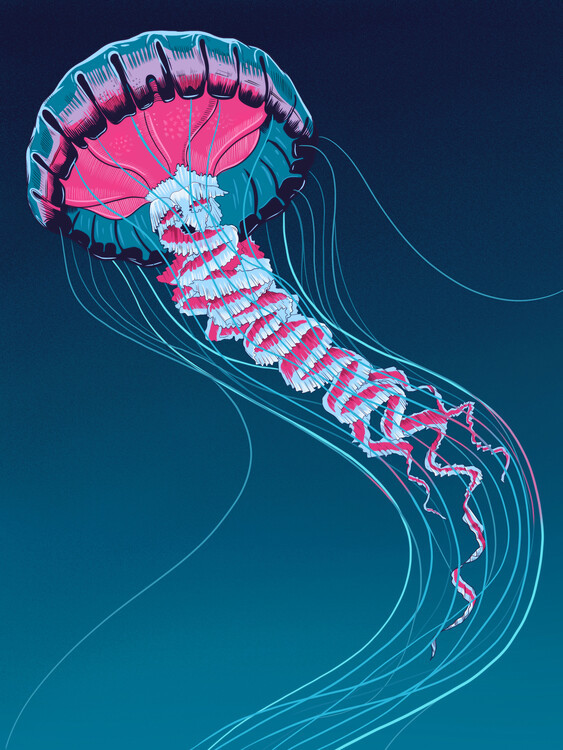 Mark Harrison Ilustrace Lions Mane Jellyfish, Mark Harrison, 30 × 40 cm