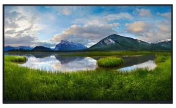 Dell P2425H 23,8