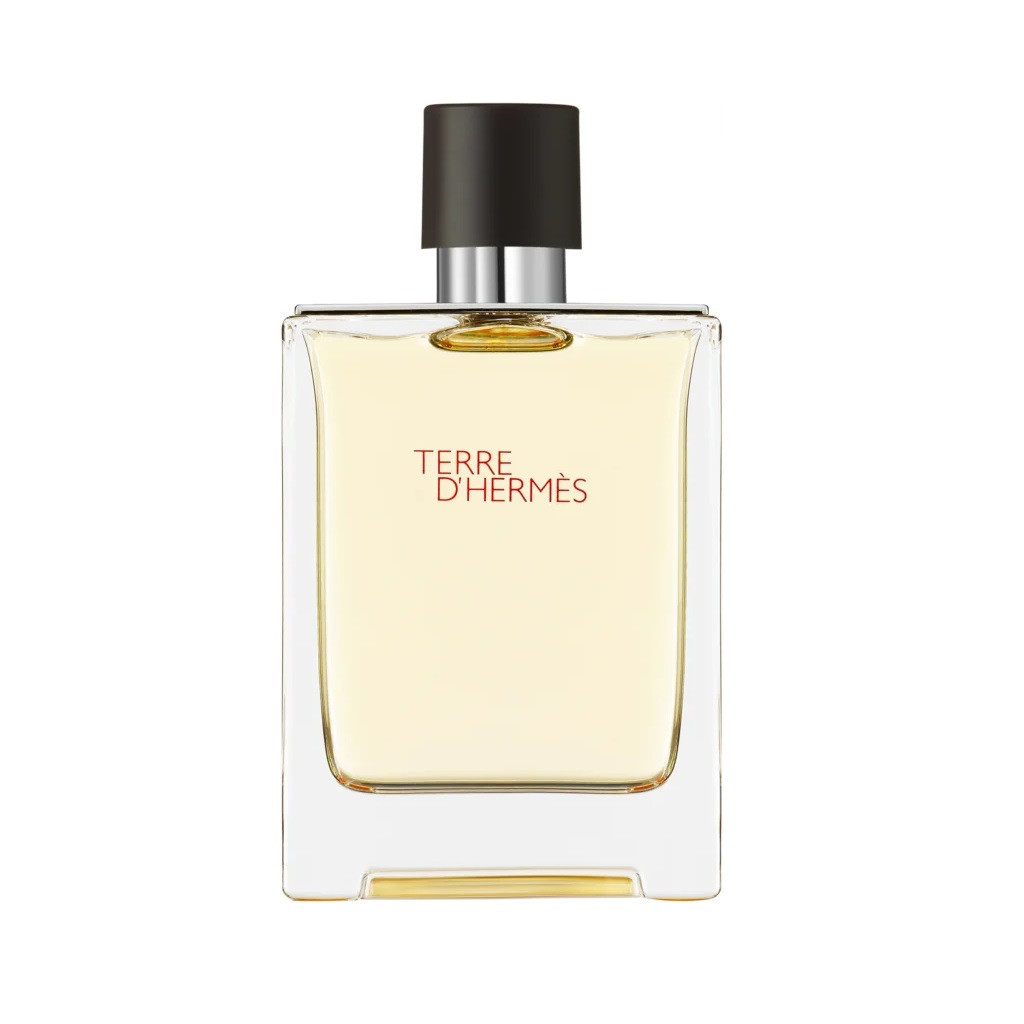 Hermès Terre d' Hermès toaletní voda pro muže 100 ml