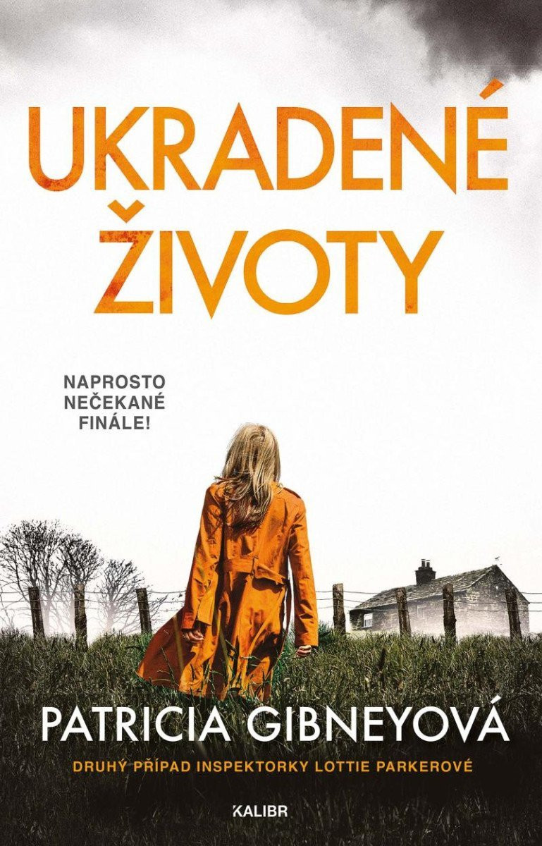 Ukradené životy, 2.  vydání - Patricia Gibneyová