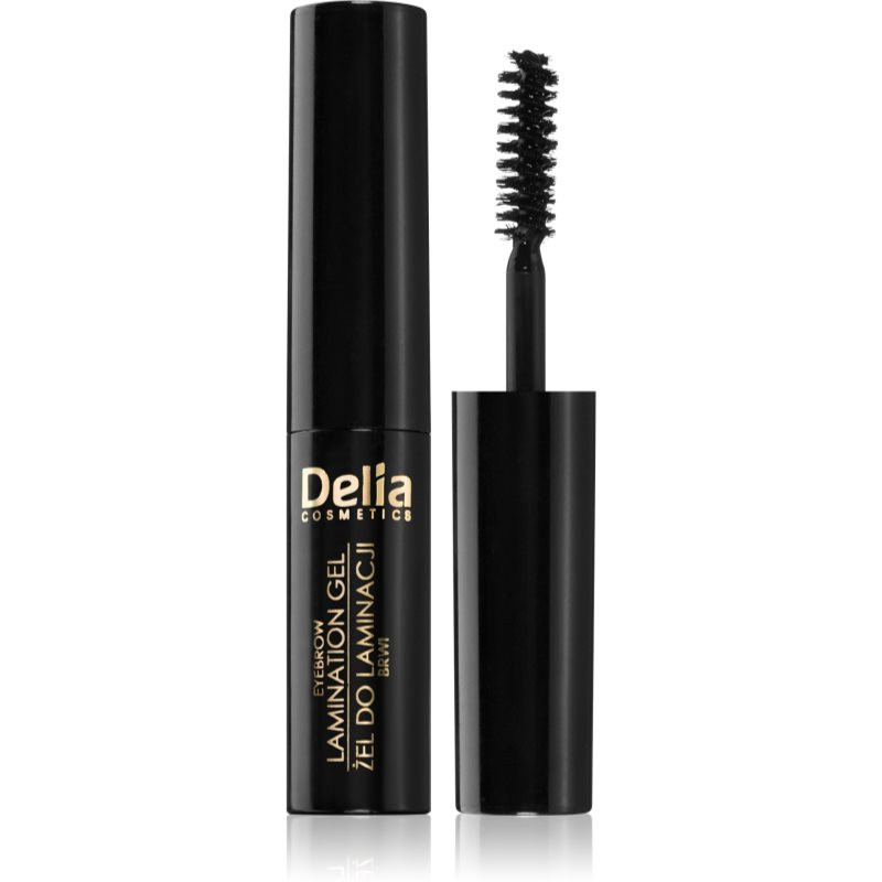 Delia Cosmetics Eyebrow Expert gel na obočí odstín 1.0 Black 4 ml