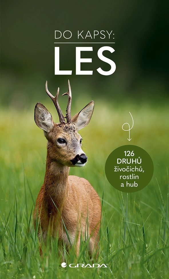 Kniha: Les - Do kapsy od Wilhelmsenová Ute