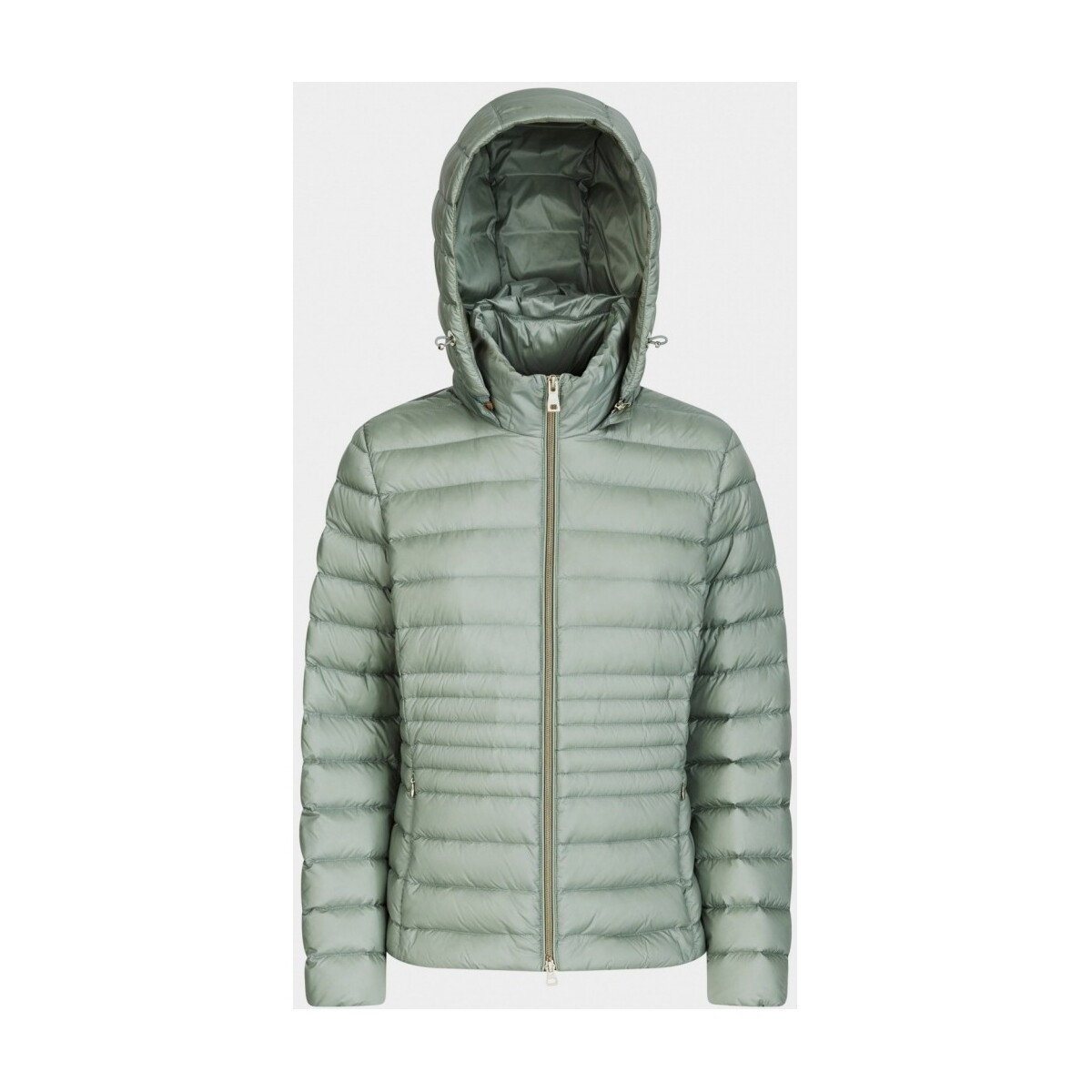 Geox  D JAYSEN  Zelená