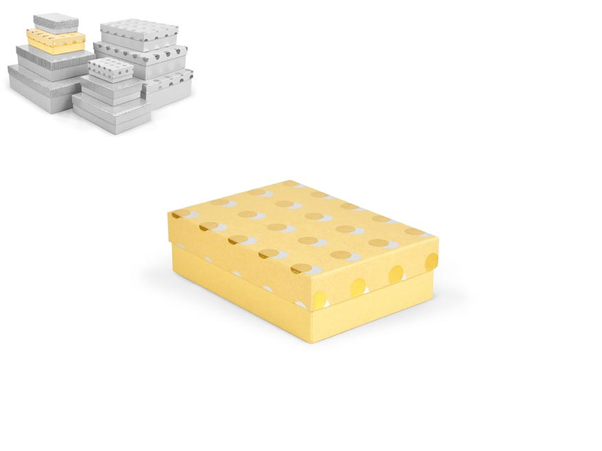 MFP 5371128 Krabice dárková D-L003-D 22x16x6,5cm