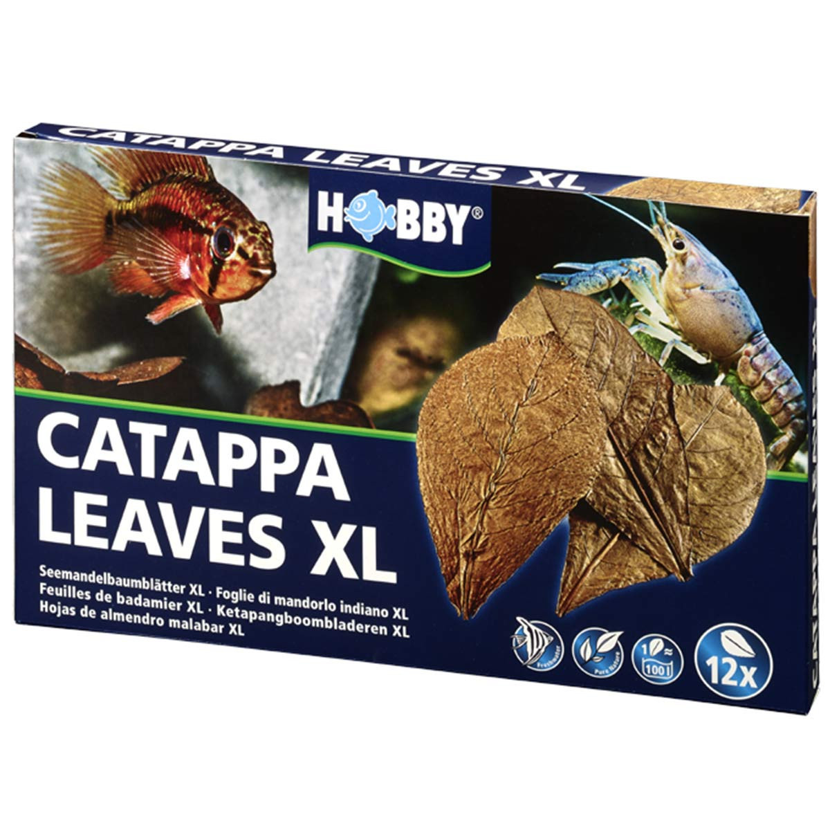 Hobby Catappa Leaves listy velikosti XL, 12 kusů