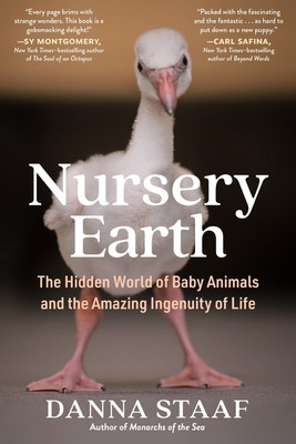 Nursery Earth: The Hidden World of Baby Animals and the Amazing Ingenuity of Life (Staaf Danna)(Paperback)