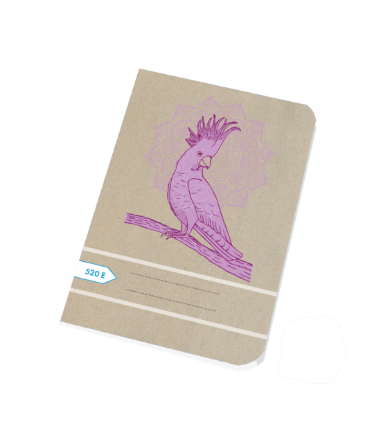 Papírny Brno Školní sešit 520e - A5, čistý, 20 listů