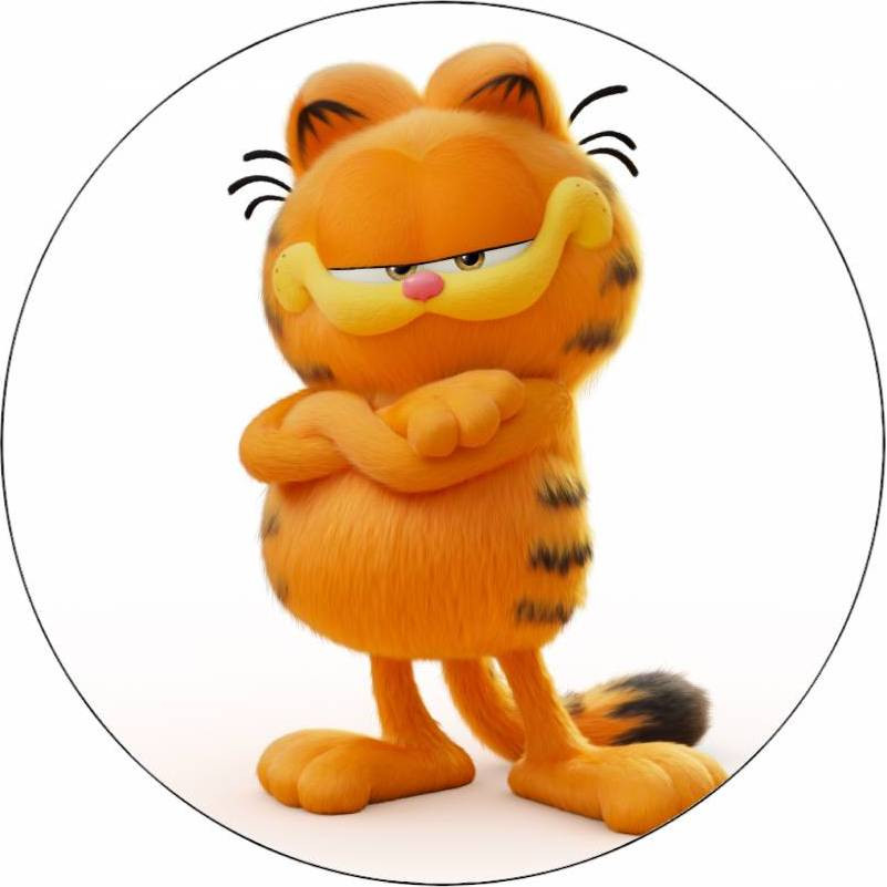 Jedlý papír kocour Garfield 19,5 cm