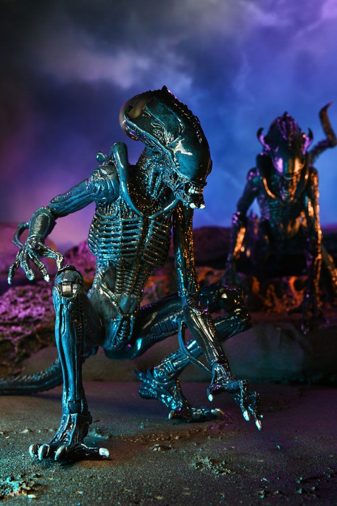 NECA | Alien vs Predator - sběratelská figurka Arachnoid Alien 23 cm