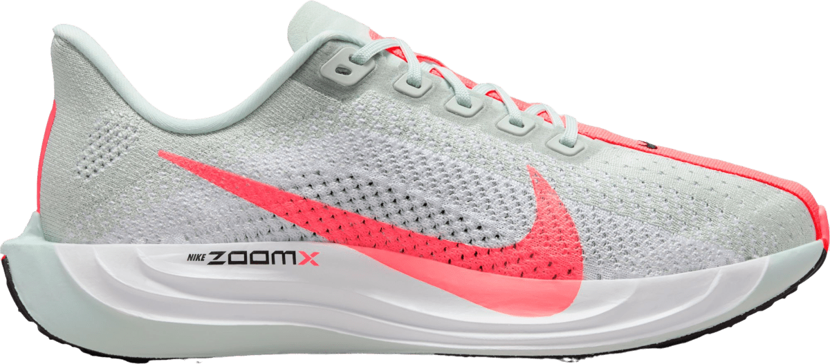 Běžecké boty Nike Pegasus Plus