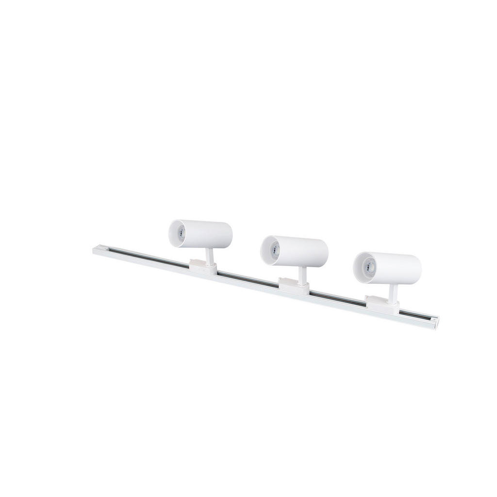 KOLEJNICOVÝ ZÁŘIČ