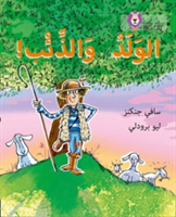 The Boy Who Cried Wolf: (Level 5) (Collins Uk)(Paperback)