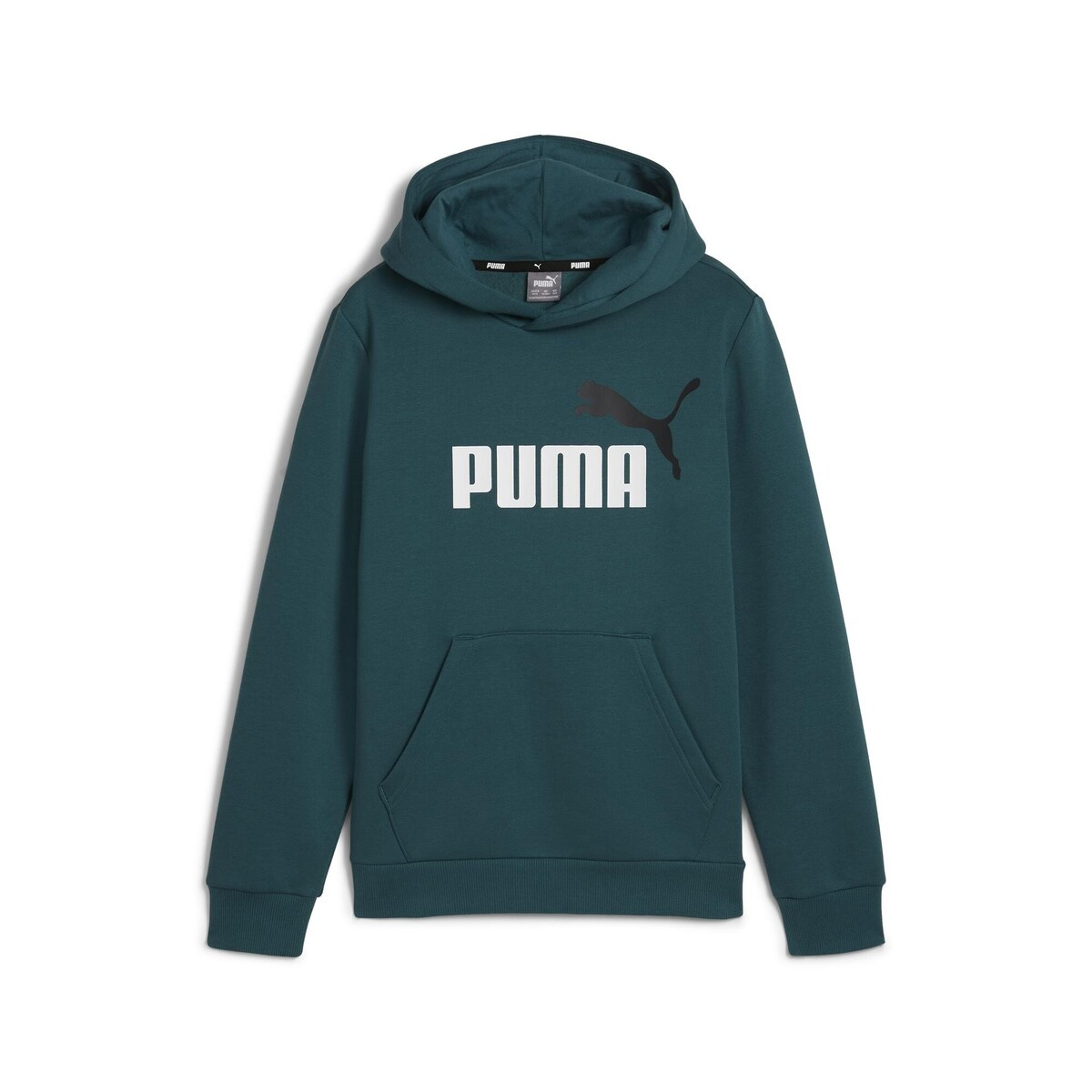 Puma  ESS+ 2 COL BIG LOGO HOODIE FL  Zelená