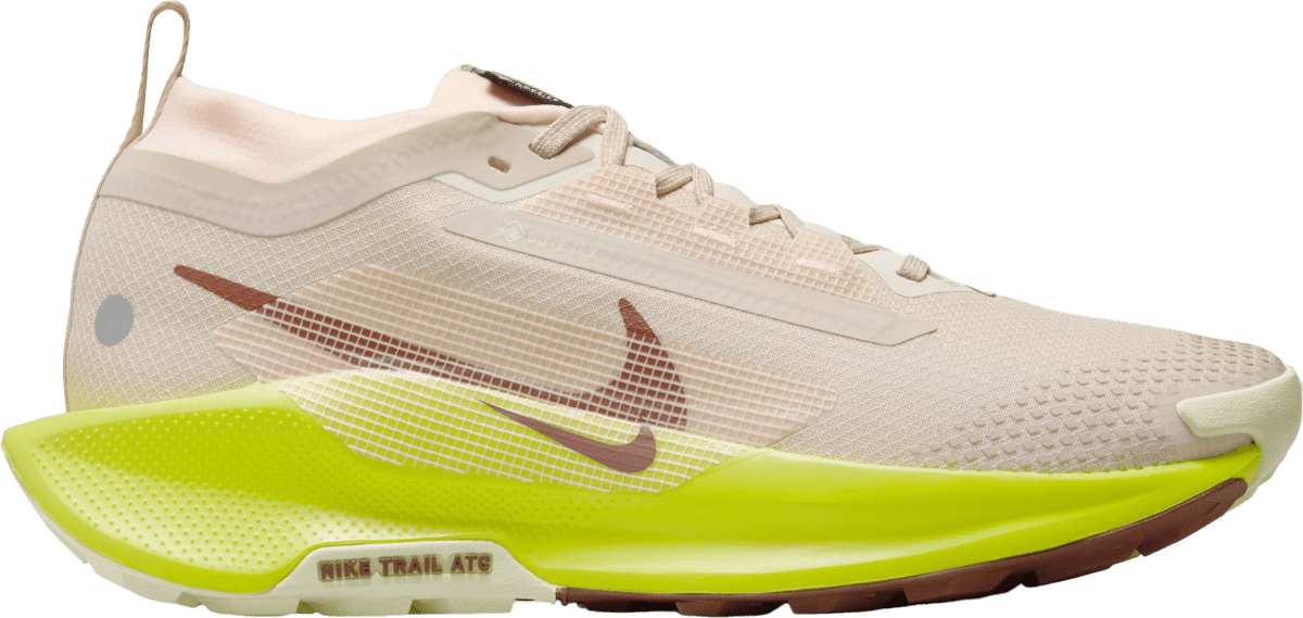 Trailové boty Nike Pegasus Trail 5 GORE-TEX