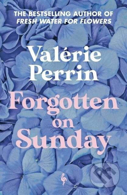 Forgotten on Sunday - Valérie Perrin