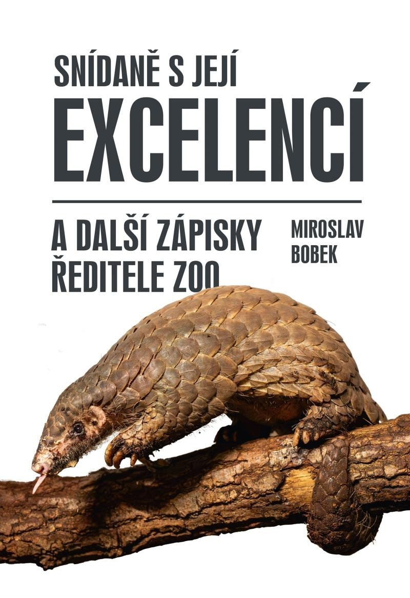 Snídaně s její excelencí - Miroslav Bobek