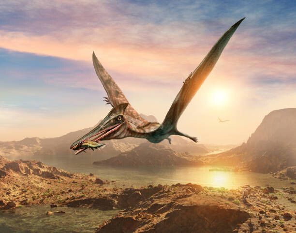 Warpaintcobra Ilustrace Pterosaur scene 3D illustration, Warpaintcobra, 40 × 30 cm