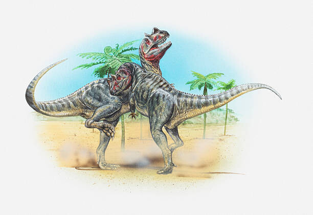 Dorling Kindersley Ilustrace Illustration of two male Ceratosaurus dinosaurs, Dorling Kindersley, 40 × 26.7 cm