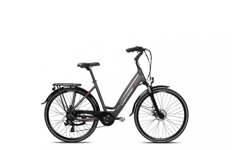 Capriolo Elektrokolo E-City Lady 28 E-BIKE šedá