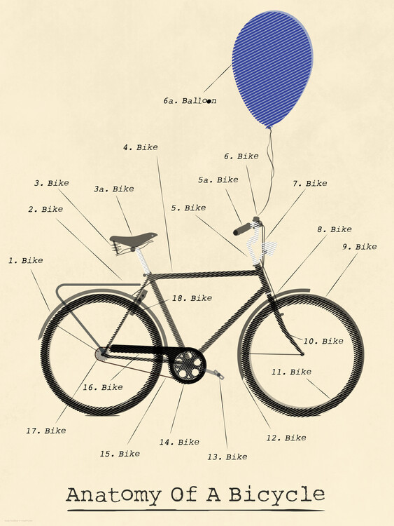 Wyatt 9 Ilustrace Anatomy, Wyatt 9, 30 × 40 cm