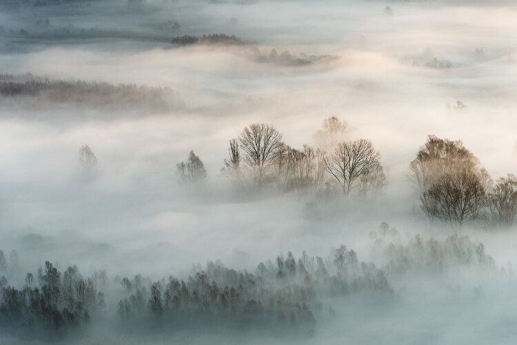 Marco Galimberti Fotografie Winter fog, Marco Galimberti, 40 × 26.7 cm