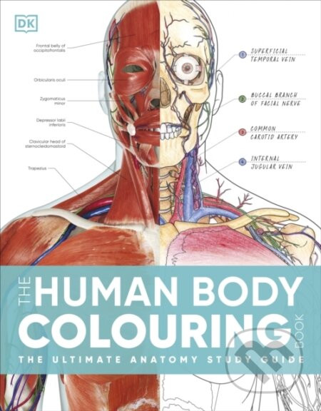 The Human Body Colouring Book - DK