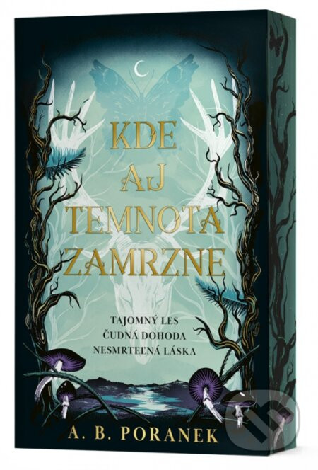 Kde aj temnota zamrzne - A.B. Poranek