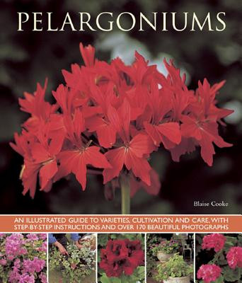 Pelargoniums: An Illustrated Guide to Varieties, Cultivation and Care, with Step-By-Step Instructions and Over 170 Beautiful Photogr (Cooke Blaise)(Paperback)