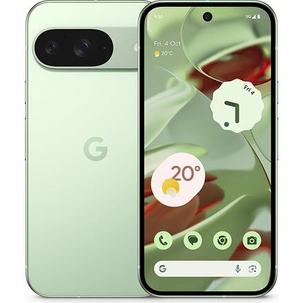 Google Pixel 9 5G barva Wintergreen paměť 12GB/256GB