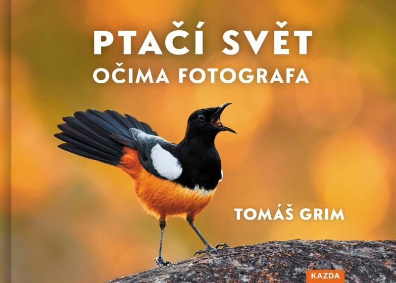 Ptačí svět očima fotografa - Tomáš Grim