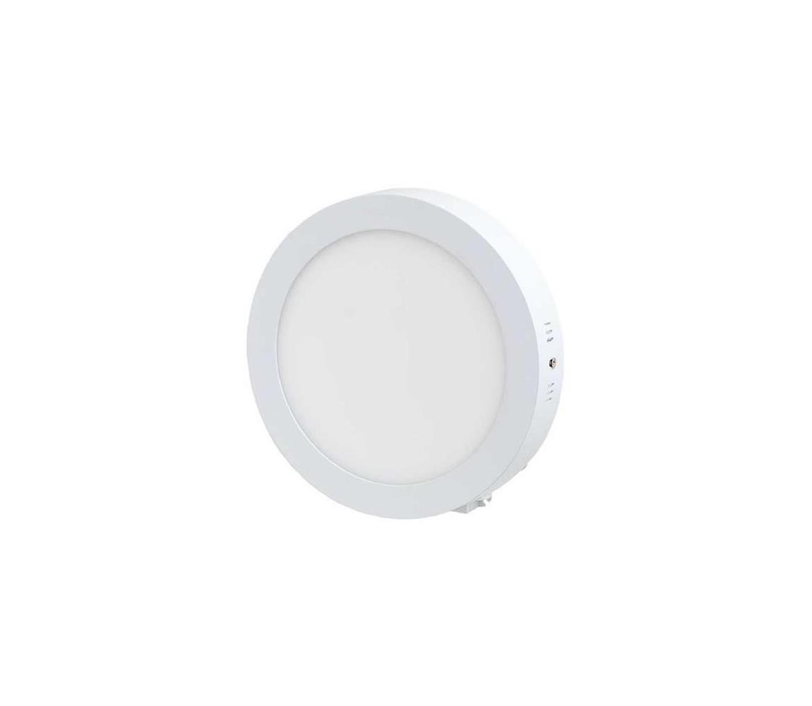 LED Stropní svítidlo LED/12W/230V