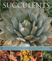 Succulents: An Illustrated Guide to Varieties, Cultivation and Care, with Step-By-Step Instructions and Over 145 Stunning Photogra (Hewitt Terry)(Paperback)