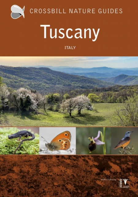 Tuscany - Italy (Chisholm Graham)(Paperback / softback)