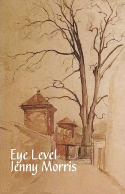Eye Level (Morris Jenny)(Paperback)